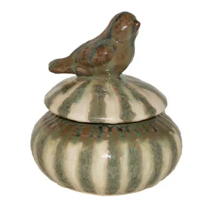 Sugar Bowl Sparrow