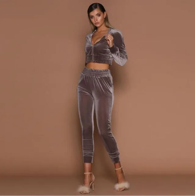 Summer Autumn Two Pieces Set Hoodie Top And Pant Tracksuit Women Set Elastic Waist Leisure 2 Piece Set Women Outfits