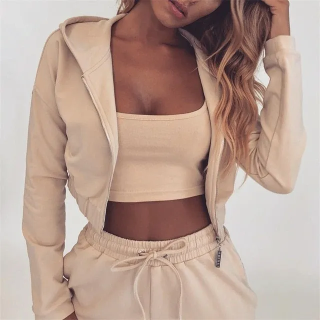 Summer Autumn Two Pieces Set Hoodie Top And Pant Tracksuit Women Set Elastic Waist Leisure 2 Piece Set Women Outfits