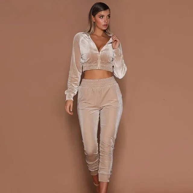 Summer Autumn Two Pieces Set Hoodie Top And Pant Tracksuit Women Set Elastic Waist Leisure 2 Piece Set Women Outfits